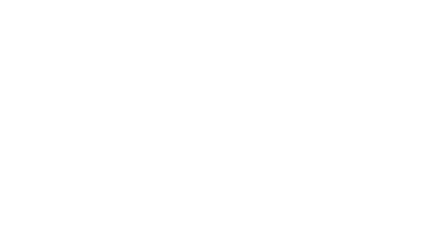 FtvLD - Chihuahua Internatinal Film Festival